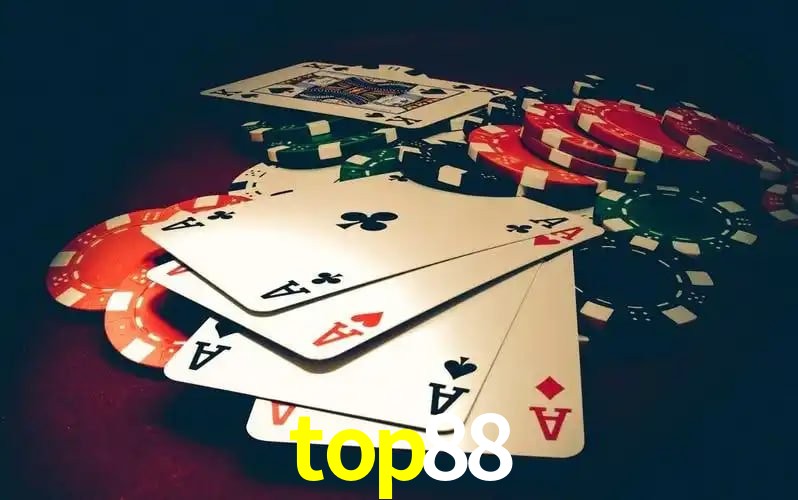 Infraestrutura top88